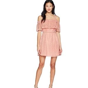 Jack by BB Dakota dress lace style brand new SALE